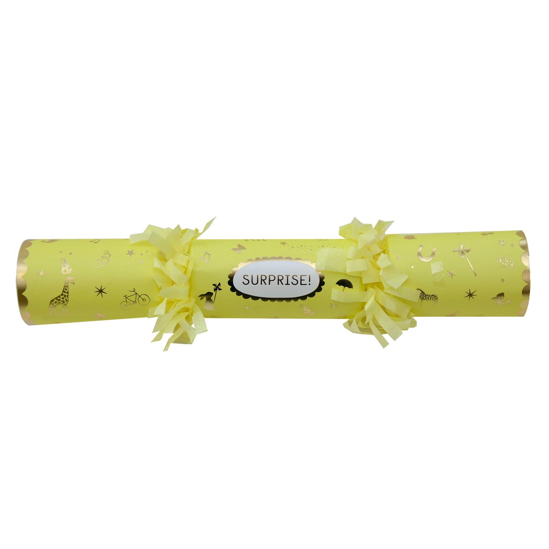 Surprize Crackers