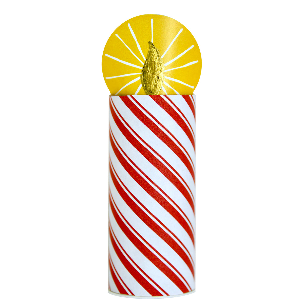 Surprize Favor™ Christmas Lights