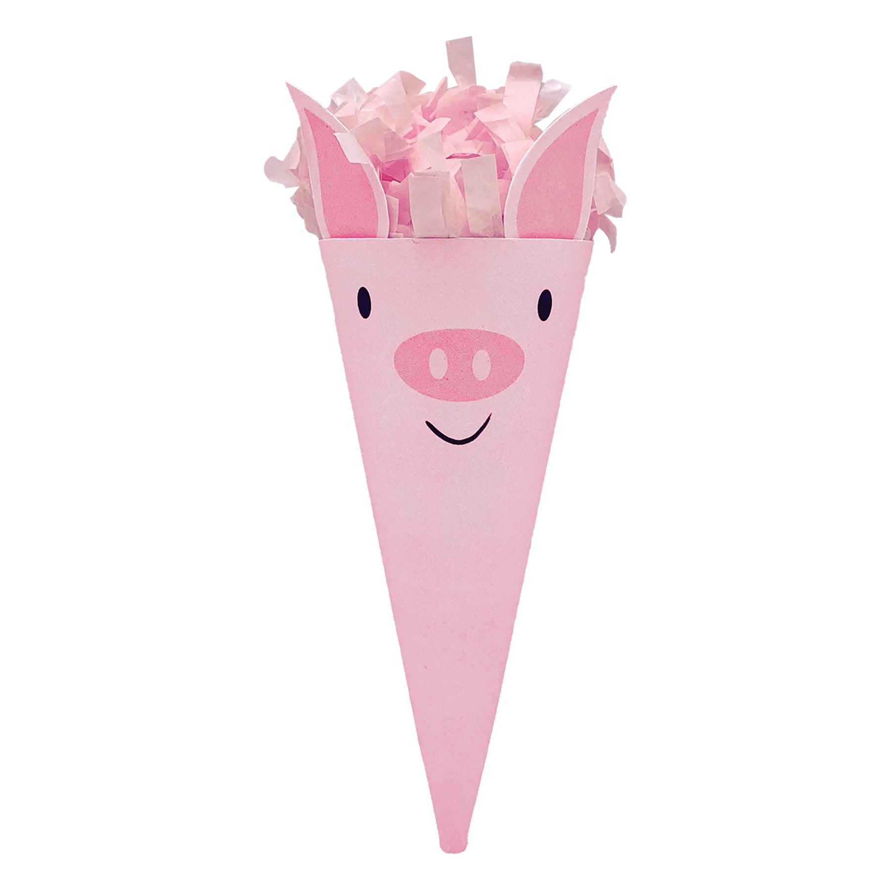 Mini Surprize Cone Pig